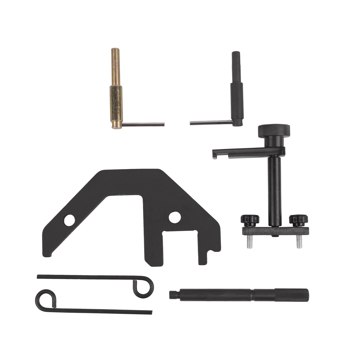 echtools EC1021 Motor Einstellwerkzeug Steuerkette Werkzeug für BMW M47 M47TU M57 M57TU